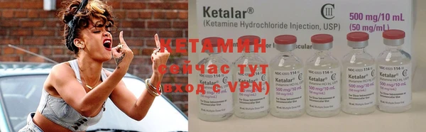 индика Ельня